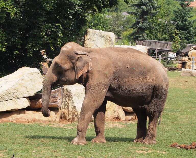 ZOO Praha